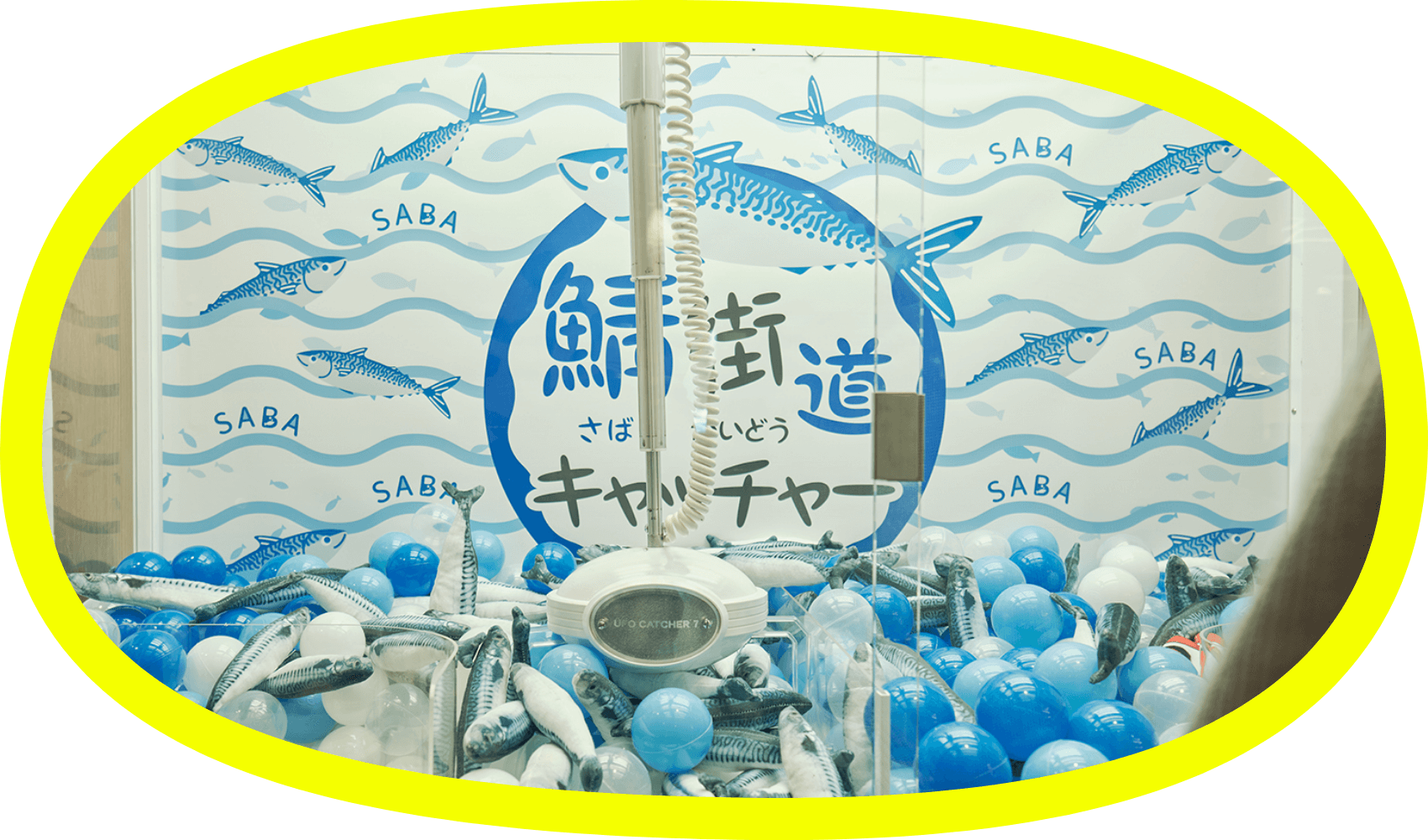 鯖街道キャッチャー