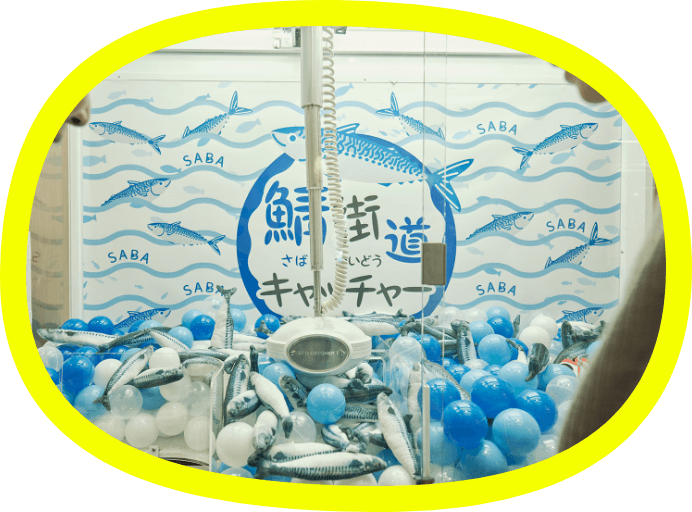 鯖街道キャッチャー